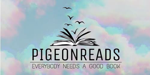 LOOKING THROUGH A PIGEON’S EYE – ENTRY #1