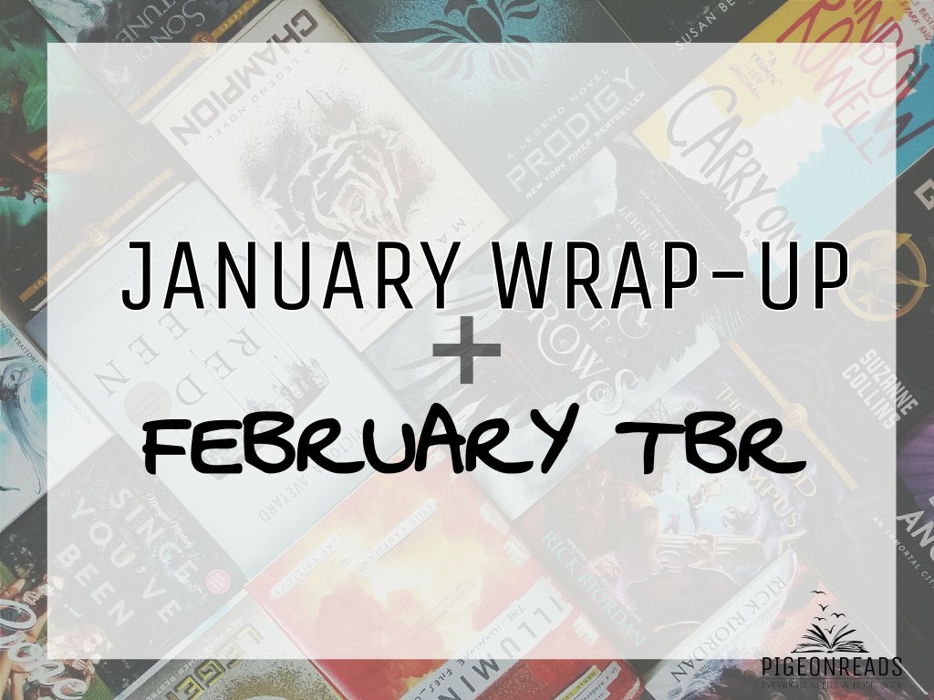 JANUARY WRAP UP + FEBRUARY TBR